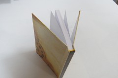 Печать 1 книги