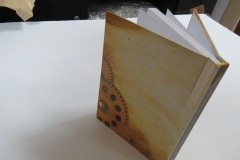 Печать 1 книги